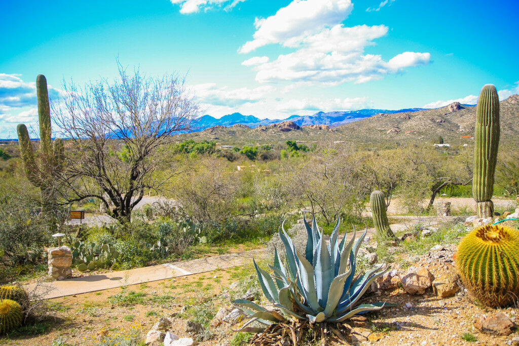 Tanque Verde Guest Ranch Vila Tucson Exterior foto